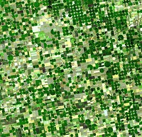 Satellite image of crops growing in Kansas, United States. Healthy, growing crops are green. Corn would be growing into leafy stalks by late June (when this photo was taken). Sorghum, which resembles corn, grows more slowly and would be much smaller and therefore, possibly paler. Wheat is a brilliant gold as harvest occurs in June. Fields of brown have been recently harvested and plowed under or lie fallow for the year. The circular crop fields are a characteristic of center pivot irrigation. The fields shown here are 800 and 1,600 meters (0.5 and 1 mile) in diameter. The image is centered near Sublette, Kansas at about 37.5 degrees north latitude, 100.75 degrees west longitude, and covers an area of 37.2 x 38.8 km. The 'grid' in which the fields are laid out runs north-south/west-east and the dark angled line is U.S. Route 56. The image is aligned with the satellite orbital track, which is in a 98 degrees tilted orbit. North is about 10 degrees counter-clockwise from up. The image is a false-color presentation made to simulate natural color. The 3 bands that were used are in the green, red, and near infrared parts of the spectrum. ASTER does not have a blue channel, so any blue that can be seen was created from the other bands.