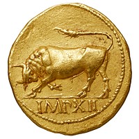 Aureus d'Octave Auguste, Revers : IMP XII taureau chargeant à gauche. Atelier de Lyon, 11 av-J.C. Or, 7,84 gr. Collection BnF : IMP-5081