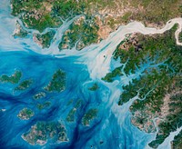 Estuaries near the coast of Guinea–Bissau branch out like a network of roots from a plant. With their long tendrils, the rivers meander through the country’s lowland plains to join the Atlantic Ocean. On the way, they carry water, nutrients, but also sediments out from the land.This natural–color image captures the movement of the sediments as the rivers move east to west. The image was acquired on May 17, 2018, by the Operational Land Imager (OLI) on Landsat 8. The discoloration is most apparent in Rio Geba, which runs past the country’s capital city of Bissau.These estuaries play an important role in agriculture. This small west African country is mostly made up of flat terrain that only stands 20 to 30 meters (65 to 98 feet) above sea level. The coastal valleys flood often, especially during the rainiest part of the year (summer), and can have damaging effects on infrastructure, agriculture, and public health. But at non–devastating levels, the rains make the valleys good locations for farming, especially rice cultivation.Much of the agricultural land is created by destroying mangroves, which act a natural barrier between the land and the water. For instance, a lot of rice production occurs along the Rio Geba, which is surrounded by broad valleys and a low, rolling plain carved out of woodlands. As a result, coastal areas have been eroding, which is expected to worsen with rising sea levels. A few projects are focused on restoring mangrove populations, and researchers have been seeing regrowth.