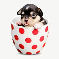 puppy in polka dot mug collage element psd