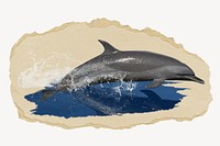 Dolphin jumping collage element psd