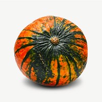 Pumpkin fruit collage element psd