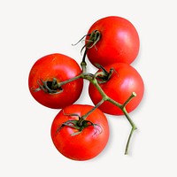 Red cherry tomatoes, vegetable isolated design