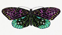 Dark glittery butterfly, aesthetic illustration. Inspired by E.A. Séguy's style.