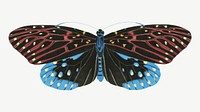 Pink and blue butterfly, exotic insect collage element psd. Remixed by rawpixel.