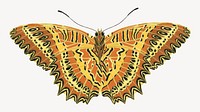 E.A. S&eacute;guy's yellow butterfly, exotic insect illustration. Original public domain image from Biodiversity Heritage Library. Digitally enhanced by rawpixel.