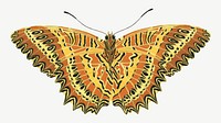 E.A. Séguy's yellow butterfly, exotic insect collage element psd. Remixed by rawpixel.