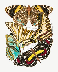 E.A. Séguy's butterfly, vintage insect collage element set psd. Original public domain image from Biodiversity Heritage Library. Digitally enhanced by rawpixel.