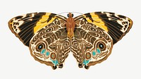 E.A. Séguy's butterfly, vintage insect collage element psd. Remixed by rawpixel.