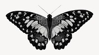 E.A Séguy's vintage butterfly illustration in black and white. Remixed by rawpixel.