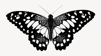 E.A Séguy's vintage butterfly illustration in black and white. Remixed by rawpixel.