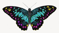 Dark glittery butterfly, aesthetic illustration. Inspired by E.A. Séguy's style.