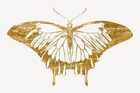 Gold glittery butterfly, aesthetic insect illustration.  Inspired by E.A. Séguy's style.