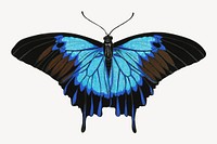 E.A. Séguy's blue butterfly, exotic insect illustration. Original public domain image from Biodiversity Heritage Library. Digitally enhanced by rawpixel.