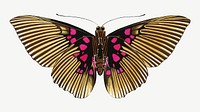 Gold striped butterfly, vintage collage element psd. Remixed by rawpixel.