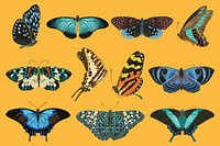 E.A. S&eacute;guy's butterfly, vintage insect collage element set psd. Remixed by rawpixel.