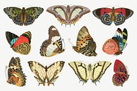 E.A. Séguy's butterfly, vintage insect collage element set psd. Remixed by rawpixel.