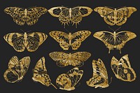 Gold glittery butterfly, aesthetic insect collage element set psd. Remixed from the artwork of E.A. Séguy.