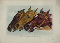 Neck and neck to the wire (1884) by Currier & Ives