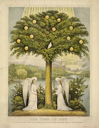 The tree of life: on either side of the river was there the tree of life which bare twelve manner of fruits.--Rev. ch. XXII,2 (1892) by Currier & Ives
