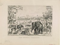 Animal creation (1875) by Currier & Ives