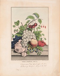 The fruit, no. 1 (1848) by N. Currier