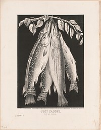 Just caught: trout and pickeral (1872) by Currier & Ives