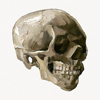 Van Gogh's Skeleton vintage illustration.   Remastered by rawpixel