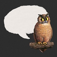 Owl with speech bubble illustration. Remixed by rawpixel.