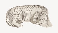 Tiger, vintage animal illustration.  Remastered by rawpixel