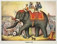 Performing elephant, vintage circus illustration. Original public domain image from the Library of Congress. Digitally enhanced by rawpixel.