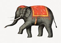 Performing elephant, vintage circus animal illustration.  Remastered by rawpixel