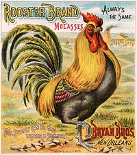 Rooster brand molasses, Bryan Bro's. New Orleans (1891). Original public domain image from the Library of Congress. Digitally enhanced by rawpixel.