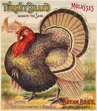 Turkey brand molasses, Bryan Bro's. New Orleans (1891). Original public domain image from the Library of Congress. Digitally enhanced by rawpixel.