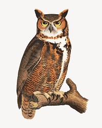 Great horned owl illustration.  Remastered by rawpixel