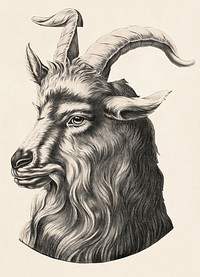 Goat's head representing bock beer (1880). Original public domain image from the Library of Congress. Digitally enhanced by rawpixel.