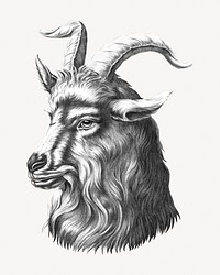 Goat head illustration. Remixed by rawpixel.