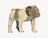 Pitbull dog, vintage animal illustration.   Remastered by rawpixel