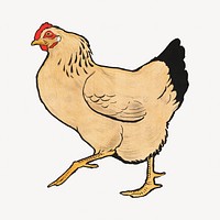 Vintage hen, farm animal illustration.  Remastered by rawpixel