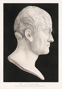 Dr. Spurzheim--divisions of the organs of phrenology marked externally (1834) by Pendleton's Lithography. Original public domain image from the Library of Congress. Digitally enhanced by rawpixel.