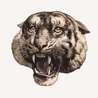 Herbert Dicksee's Tiger's head collage element psd.   Remastered by rawpixel