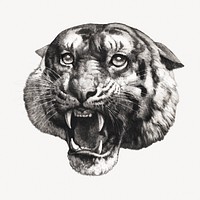 Roaring tiger, wild animal illustration. Remixed by rawpixel.