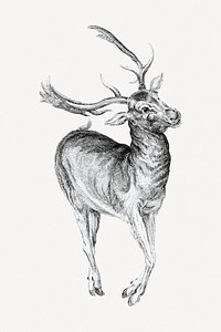 Wenceslaus Hollar's Stag collage element psd.    Remastered by rawpixel