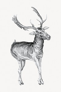 Deer illustration. Remixed by rawpixel.