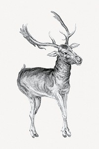 Deer clipart psd. Remixed by rawpixel.