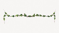 Ornamental leaf branch divider psd.  Remastered by rawpixel