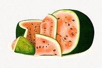 Watermelon, tropical fruit illustration.    Remastered by rawpixel