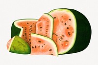 Watermelon, tropical fruit illustration.    Remastered by rawpixel