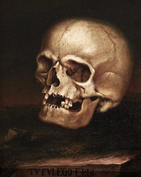 Painting of vanitas (1718-1785) by Johann Georg Dieffenbrunner. Original public domain image from Wikimedia Commons. Digitally enhanced by rawpixel.