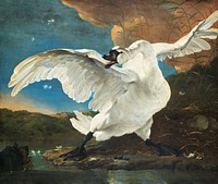 Threatened swan (1650) by Jan Asselijn. Original public domain image from the Rijksmuseum. Digitally enhanced by rawpixel.